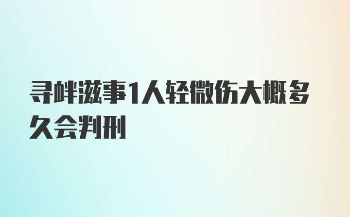 寻衅滋事1人轻微伤大概多久会判刑