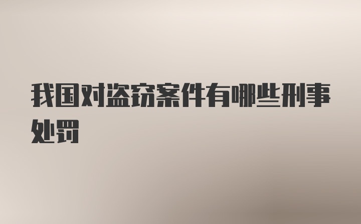 我国对盗窃案件有哪些刑事处罚