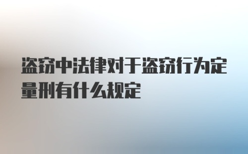 盗窃中法律对于盗窃行为定量刑有什么规定