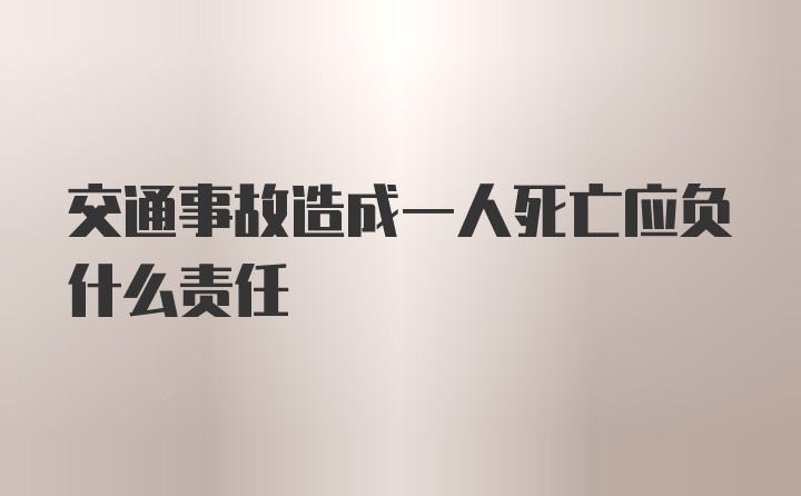 交通事故造成一人死亡应负什么责任