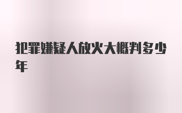 犯罪嫌疑人放火大概判多少年