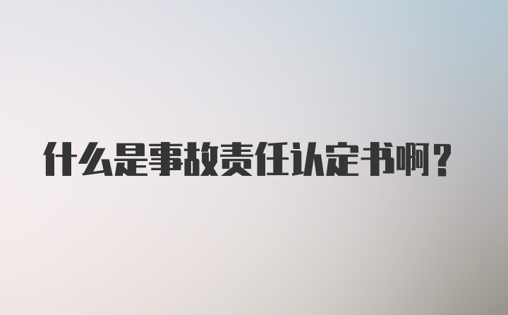 什么是事故责任认定书啊？