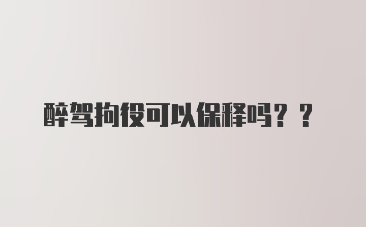 醉驾拘役可以保释吗??