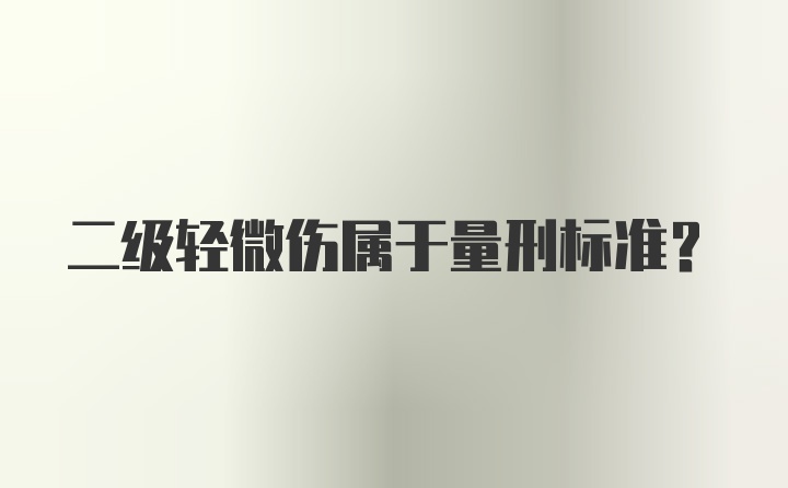 二级轻微伤属于量刑标准?