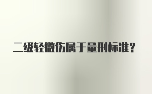 二级轻微伤属于量刑标准?