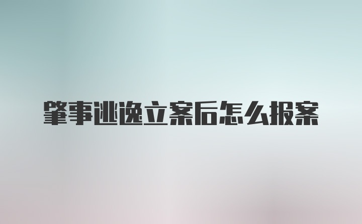 肇事逃逸立案后怎么报案