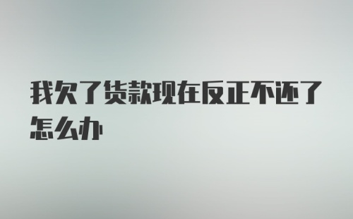 我欠了货款现在反正不还了怎么办