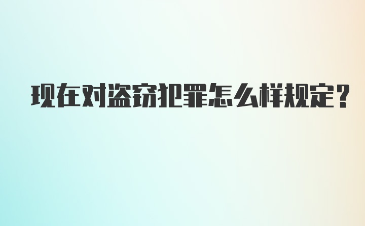 现在对盗窃犯罪怎么样规定？