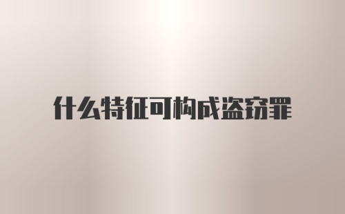 什么特征可构成盗窃罪