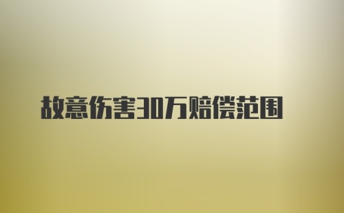 故意伤害30万赔偿范围