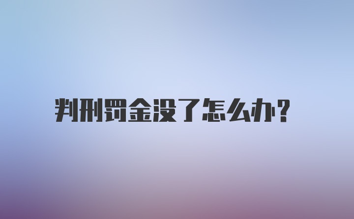 判刑罚金没了怎么办？