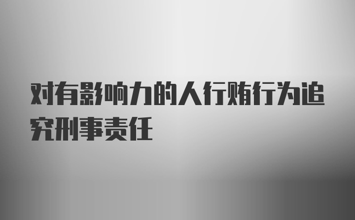 对有影响力的人行贿行为追究刑事责任