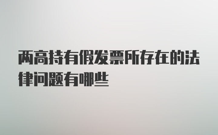 两高持有假发票所存在的法律问题有哪些