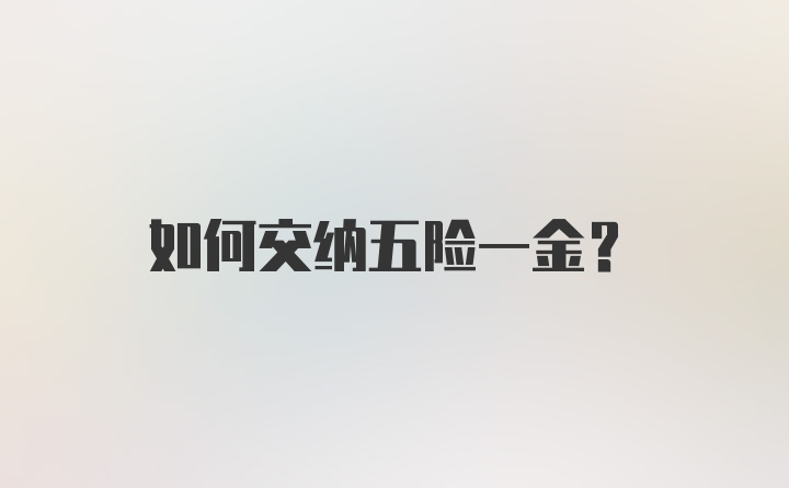 如何交纳五险一金？