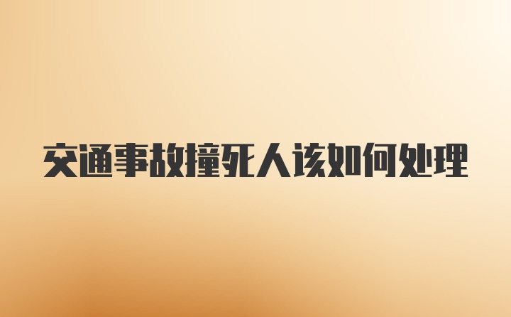 交通事故撞死人该如何处理