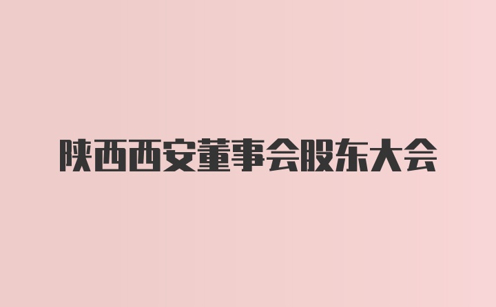 陕西西安董事会股东大会