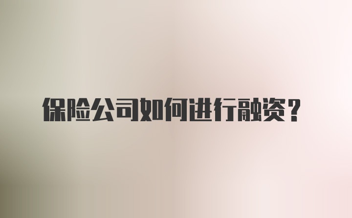 保险公司如何进行融资？