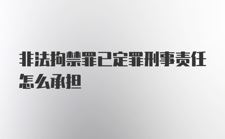 非法拘禁罪已定罪刑事责任怎么承担