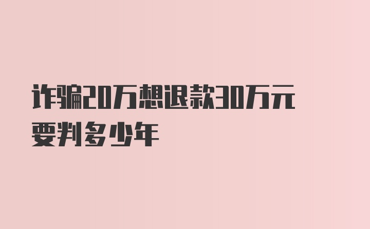 诈骗20万想退款30万元要判多少年