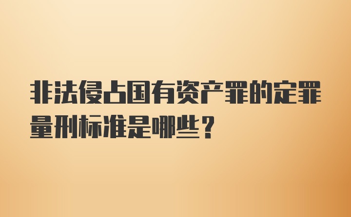 非法侵占国有资产罪的定罪量刑标准是哪些？