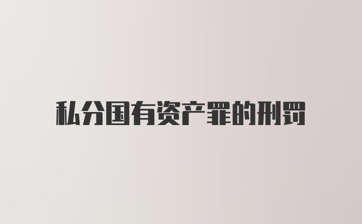 私分国有资产罪的刑罚