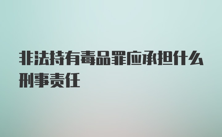 非法持有毒品罪应承担什么刑事责任