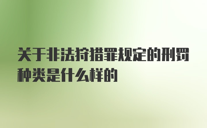 关于非法狩猎罪规定的刑罚种类是什么样的