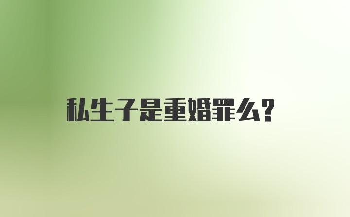 私生子是重婚罪么？