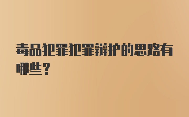 毒品犯罪犯罪辩护的思路有哪些？