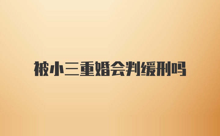 被小三重婚会判缓刑吗