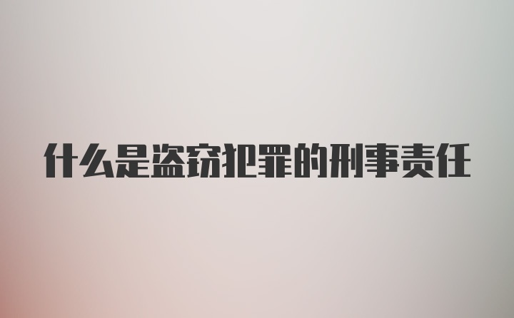 什么是盗窃犯罪的刑事责任