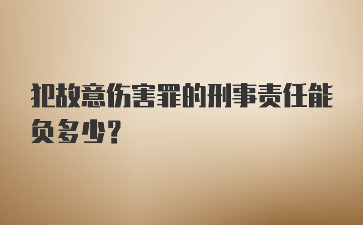 犯故意伤害罪的刑事责任能负多少？