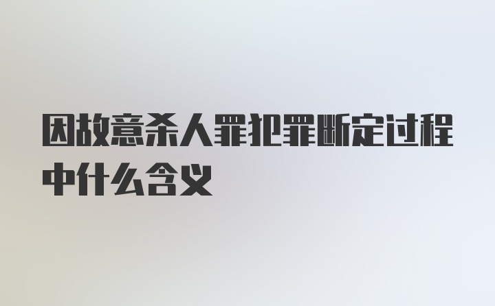 因故意杀人罪犯罪断定过程中什么含义