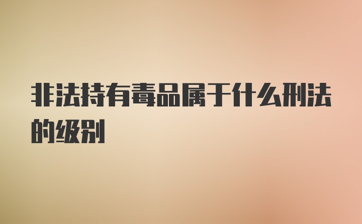 非法持有毒品属于什么刑法的级别