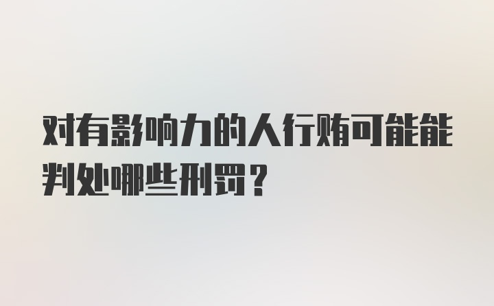 对有影响力的人行贿可能能判处哪些刑罚？