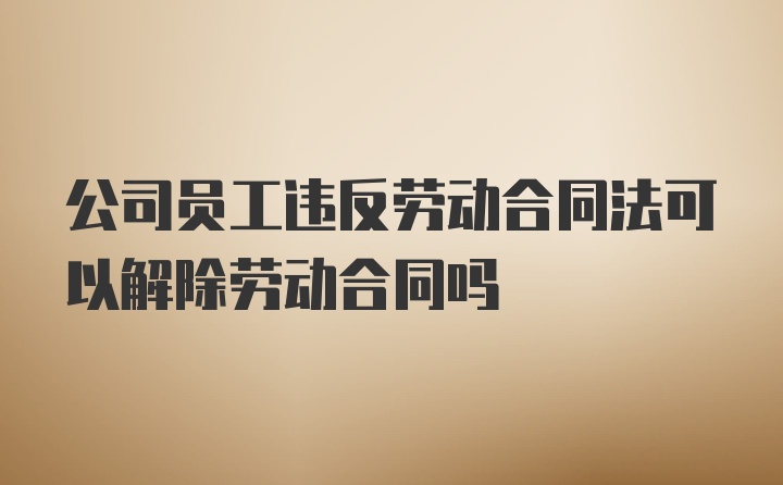 公司员工违反劳动合同法可以解除劳动合同吗