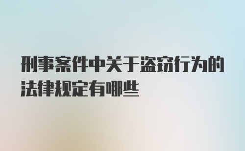 刑事案件中关于盗窃行为的法律规定有哪些