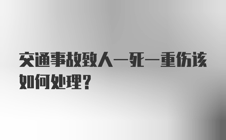 交通事故致人一死一重伤该如何处理？