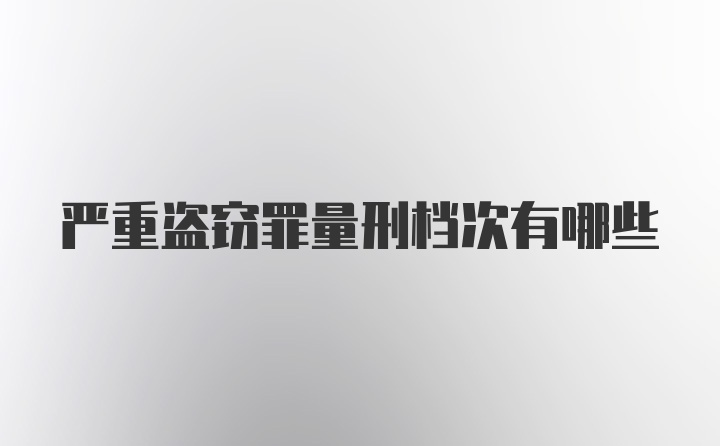 严重盗窃罪量刑档次有哪些
