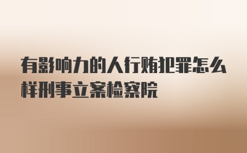 有影响力的人行贿犯罪怎么样刑事立案检察院