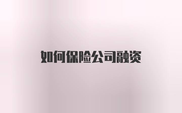 如何保险公司融资