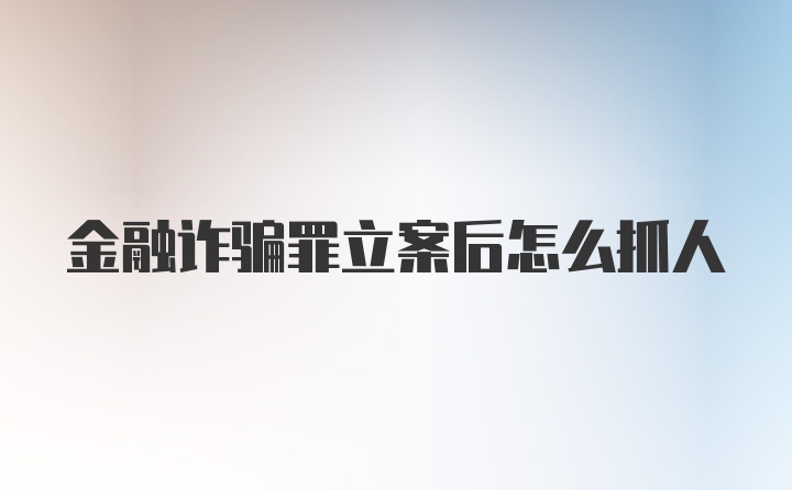 金融诈骗罪立案后怎么抓人