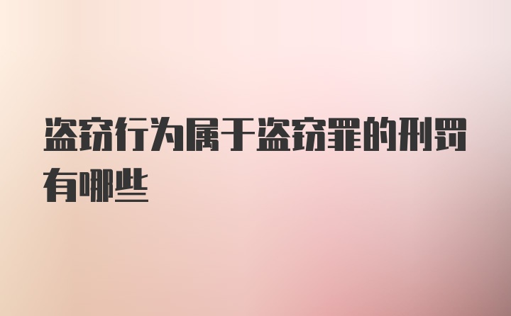 盗窃行为属于盗窃罪的刑罚有哪些