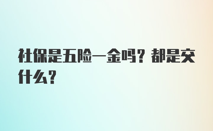 社保是五险一金吗？都是交什么？