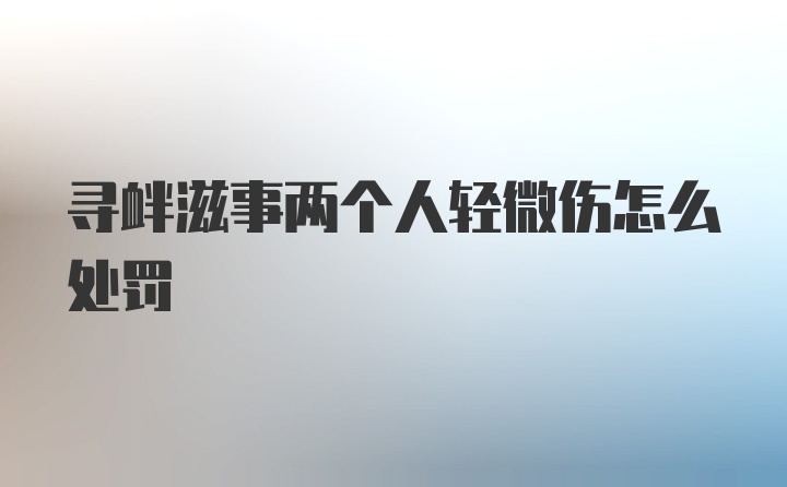 寻衅滋事两个人轻微伤怎么处罚