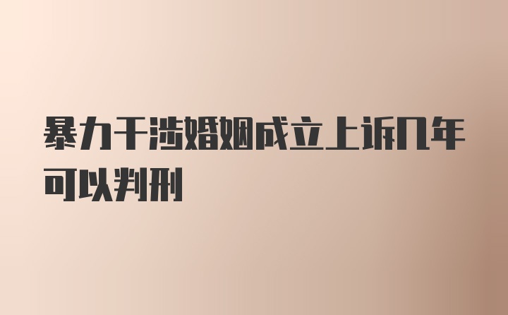 暴力干涉婚姻成立上诉几年可以判刑