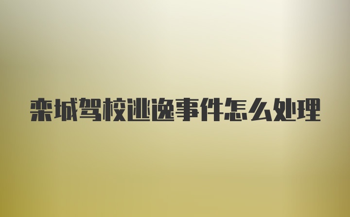 栾城驾校逃逸事件怎么处理