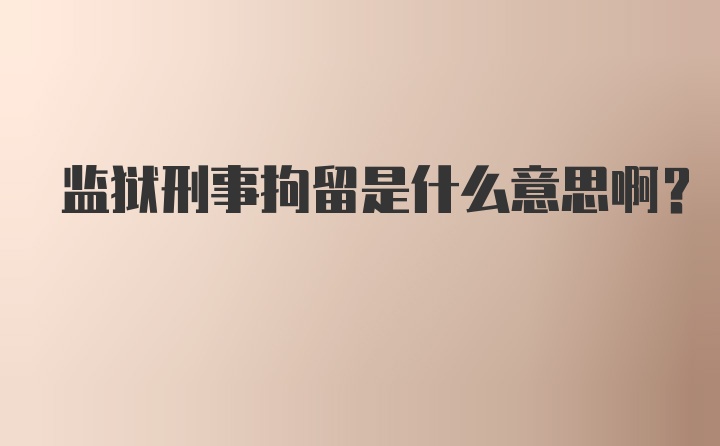 监狱刑事拘留是什么意思啊？