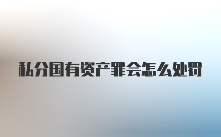 私分国有资产罪会怎么处罚