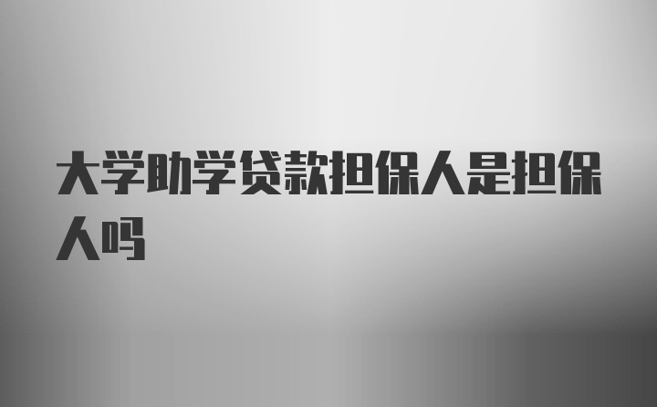 大学助学贷款担保人是担保人吗